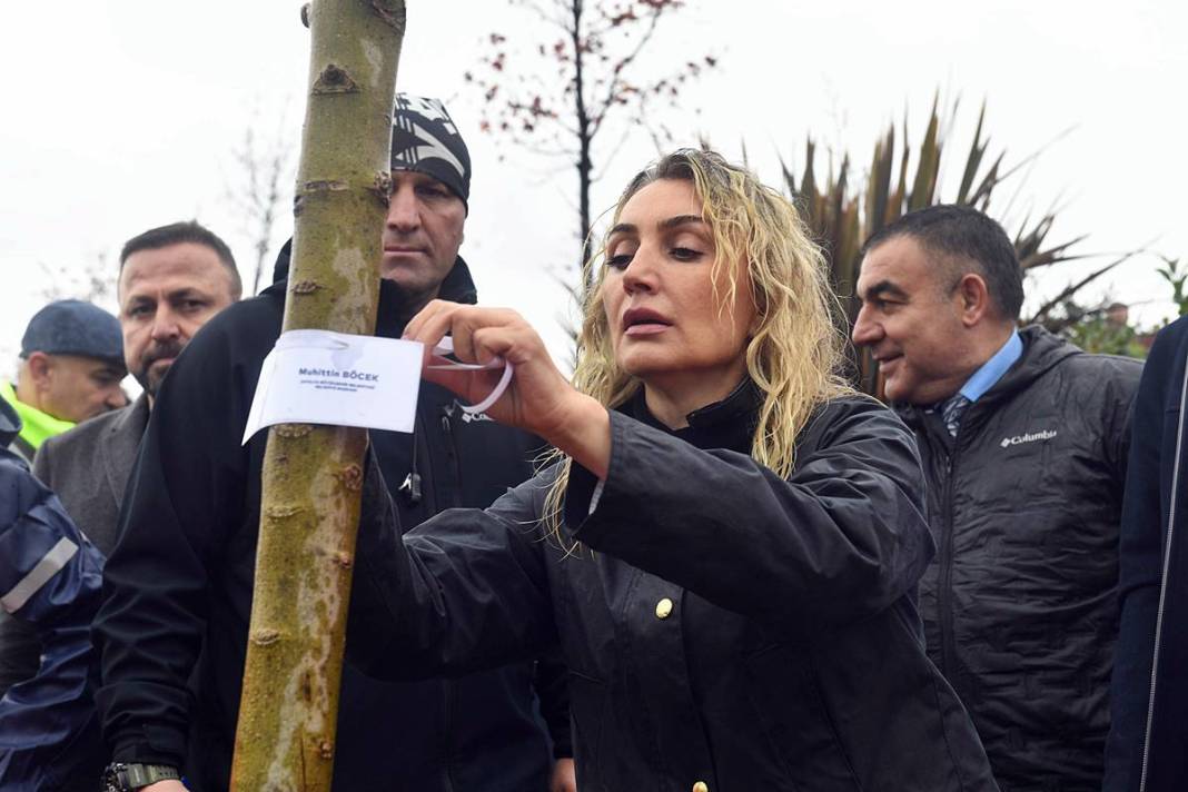 İstanbul'a 1111 'nefes' takviyesi yapıldı! Fıstık çamları ve zeytinler buluştu 16